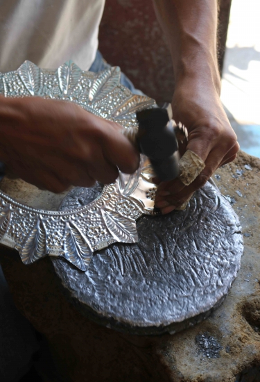Milagro Paloma
